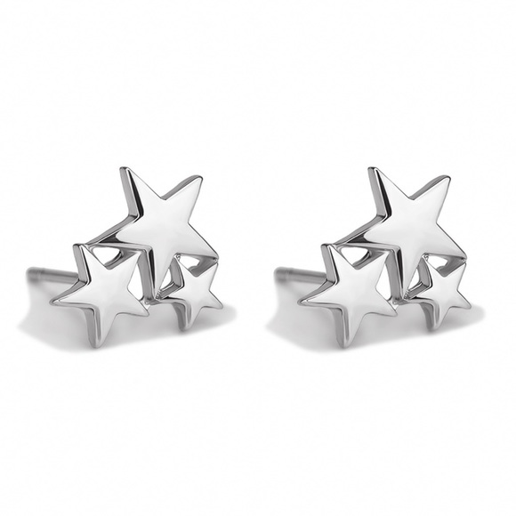 GlitzBlitz Jewelry - 2/$20!  Silver Star Cluster Stud Earrings